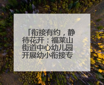 衔接有约，静待花开：福莱山街道中心幼儿园开展幼小衔接专题讲座