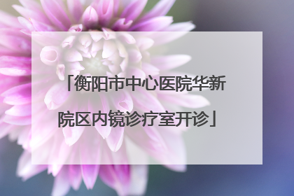 衡阳市中心医院华新院区内镜诊疗室开诊