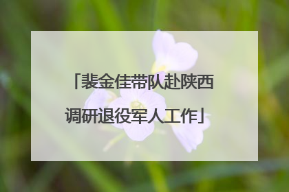 裴金佳带队赴陕西调研退役军人工作