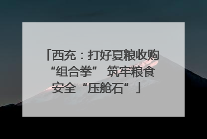 西充：打好夏粮收购“组合拳” 筑牢粮食安全“压舱石”