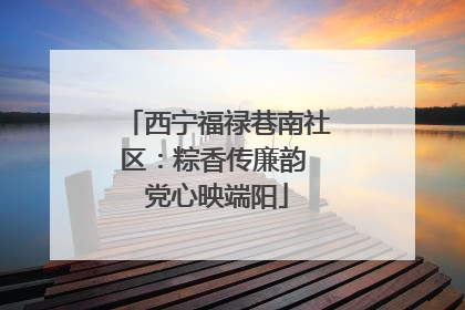 西宁福禄巷南社区：粽香传廉韵 党心映端阳