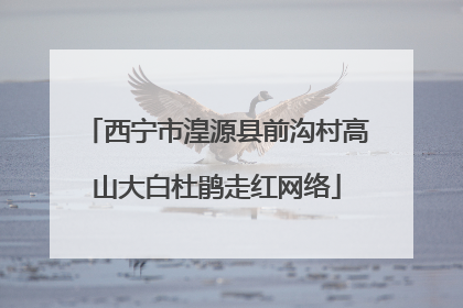 西宁市湟源县前沟村高山大白杜鹃走红网络