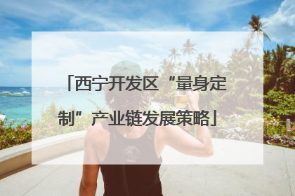 西宁开发区“量身定制”产业链发展策略