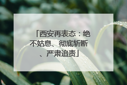 西安再表态：绝不姑息、彻底斩断、严肃追责