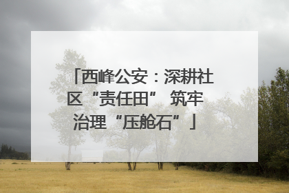 西峰公安：深耕社区“责任田” 筑牢治理“压舱石”
