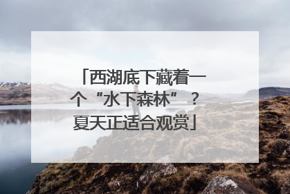 西湖底下藏着一个“水下森林”？夏天正适合观赏