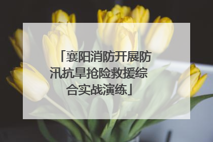 襄阳消防开展防汛抗旱抢险救援综合实战演练