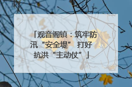 观音阁镇：筑牢防汛“安全堤” 打好抗洪“主动仗”
