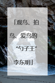 观鸟、拍鸟、爱鸟的“勺子王”李东明