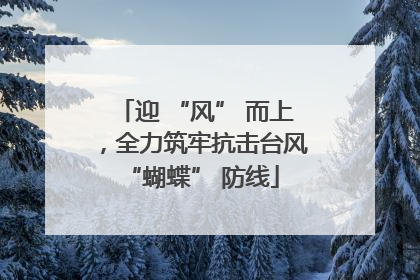 迎 “风” 而上，全力筑牢抗击台风 “蝴蝶” 防线