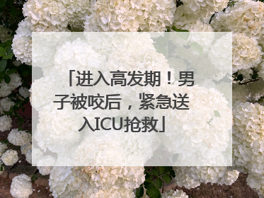 进入高发期！男子被咬后，紧急送入ICU抢救