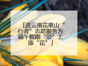 连云港花果山“行者”志愿服务为端午假期“景”上添“花”