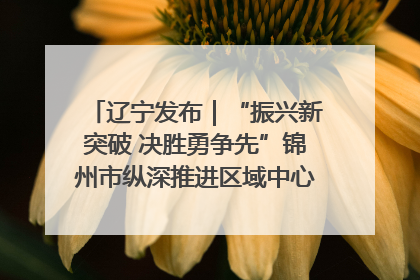 辽宁发布｜“振兴新突破 决胜勇争先”锦州市纵深推进区域中心城市建设 打造高质量发展新增长极