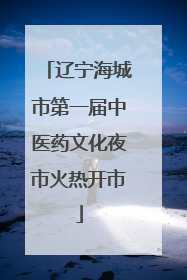辽宁海城市第一届中医药文化夜市火热开市