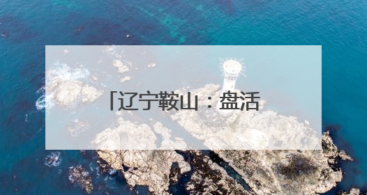 辽宁鞍山：盘活闲置资产 抢滩“银发经济”