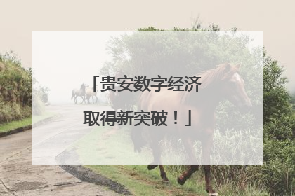 贵安数字经济取得新突破！