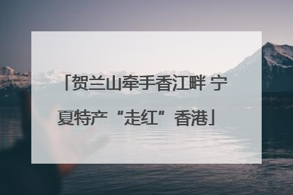 贺兰山牵手香江畔 宁夏特产“走红”香港