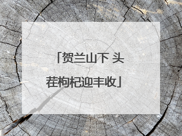 贺兰山下 头茬枸杞迎丰收