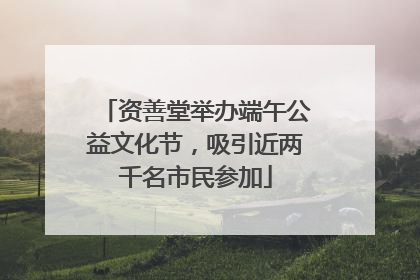 资善堂举办端午公益文化节，吸引近两千名市民参加