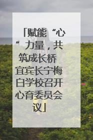 赋能“心”力量，共筑成长桥 宜宾长宁梅白学校召开心育委员会议