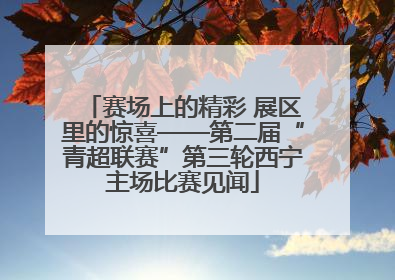 赛场上的精彩 展区里的惊喜——第二届“青超联赛”第三轮西宁主场比赛见闻