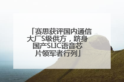 赛思获评国内通信大厂S级供方，跻身国产SLIC语音芯片领军者行列