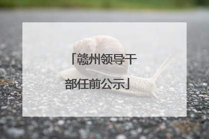 赣州领导干部任前公示