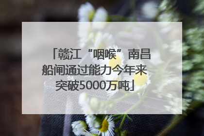 赣江“咽喉”南昌船闸通过能力今年来突破5000万吨