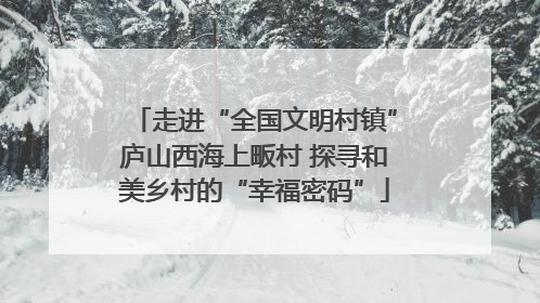 走进“全国文明村镇”庐山西海上畈村 探寻和美乡村的“幸福密码”