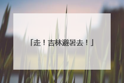 走！吉林避暑去！