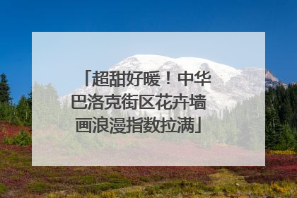 超甜好暖！中华巴洛克街区花卉墙画浪漫指数拉满