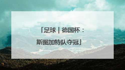 足球｜德国杯：斯图加特队夺冠