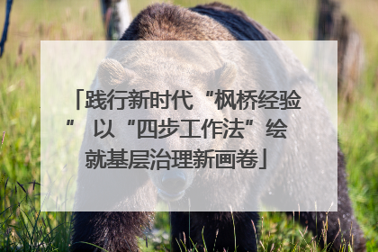 践行新时代“枫桥经验” 以“四步工作法”绘就基层治理新画卷