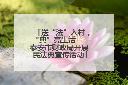 送“法”入村，“典”亮生活——泰安市财政局开展民法典宣传活动