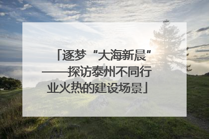 逐梦“大海新晨”——探访泰州不同行业火热的建设场景