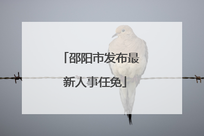 邵阳市发布最新人事任免