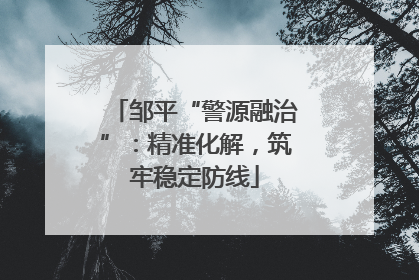 邹平“警源融治”：精准化解，筑牢稳定防线