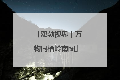 邓勃视界｜万物同栖岭南图