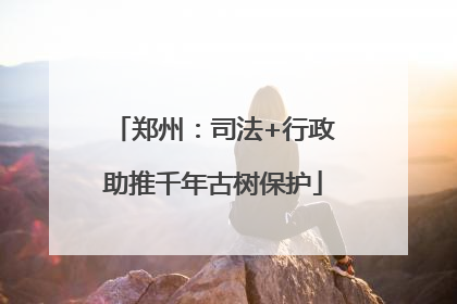 郑州：司法+行政助推千年古树保护