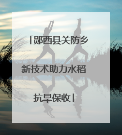 郧西县关防乡新技术助力水稻抗旱保收