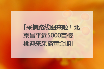 采摘路线图来啦！北京昌平近5000亩樱桃迎来采摘黄金期