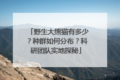 野生大熊猫有多少？种群如何分布？科研团队实地探秘