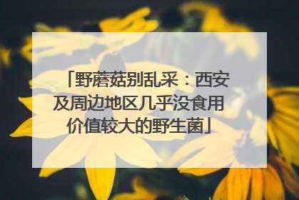 野蘑菇别乱采：西安及周边地区几乎没食用价值较大的野生菌
