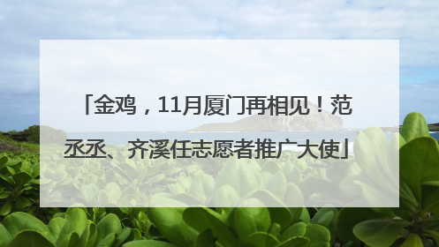 金鸡，11月厦门再相见！范丞丞、齐溪任志愿者推广大使