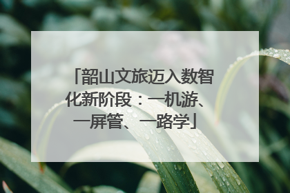 韶山文旅迈入数智化新阶段：一机游、一屏管、一路学