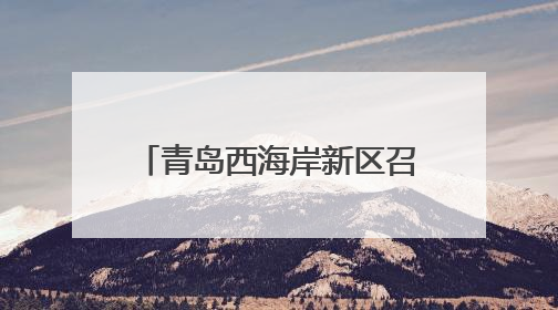 青岛西海岸新区召开政企座谈会，畅谈服务民生新举措