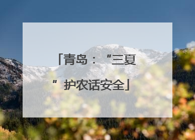 青岛：“三夏”护农话安全