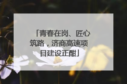 青春在岗、匠心筑路，济商高速项目建设正酣