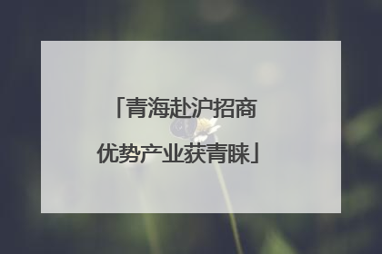 青海赴沪招商 优势产业获青睐