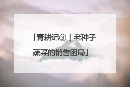 青耕记③｜老种子蔬菜的销售困局